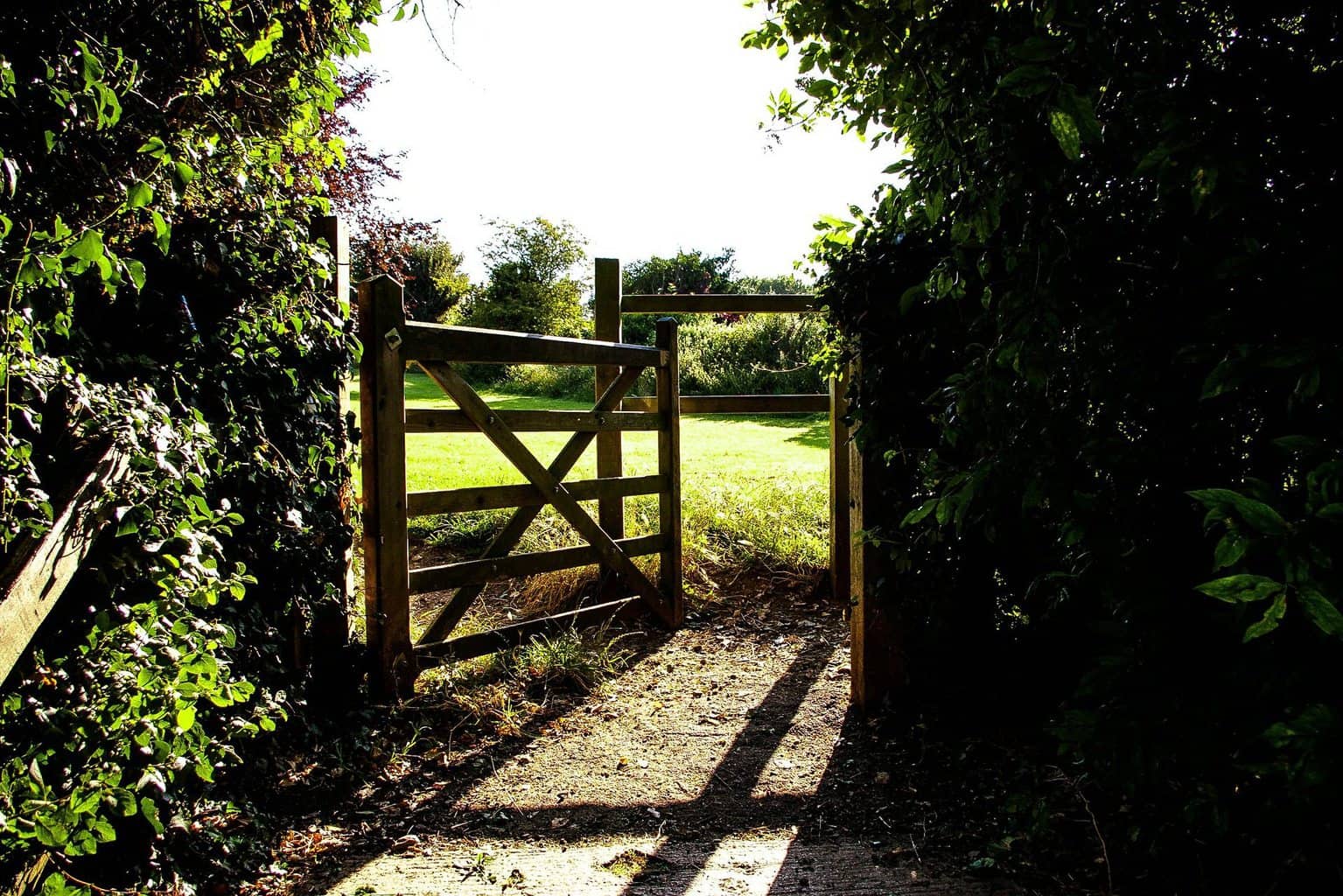 Gates and Fencing 21