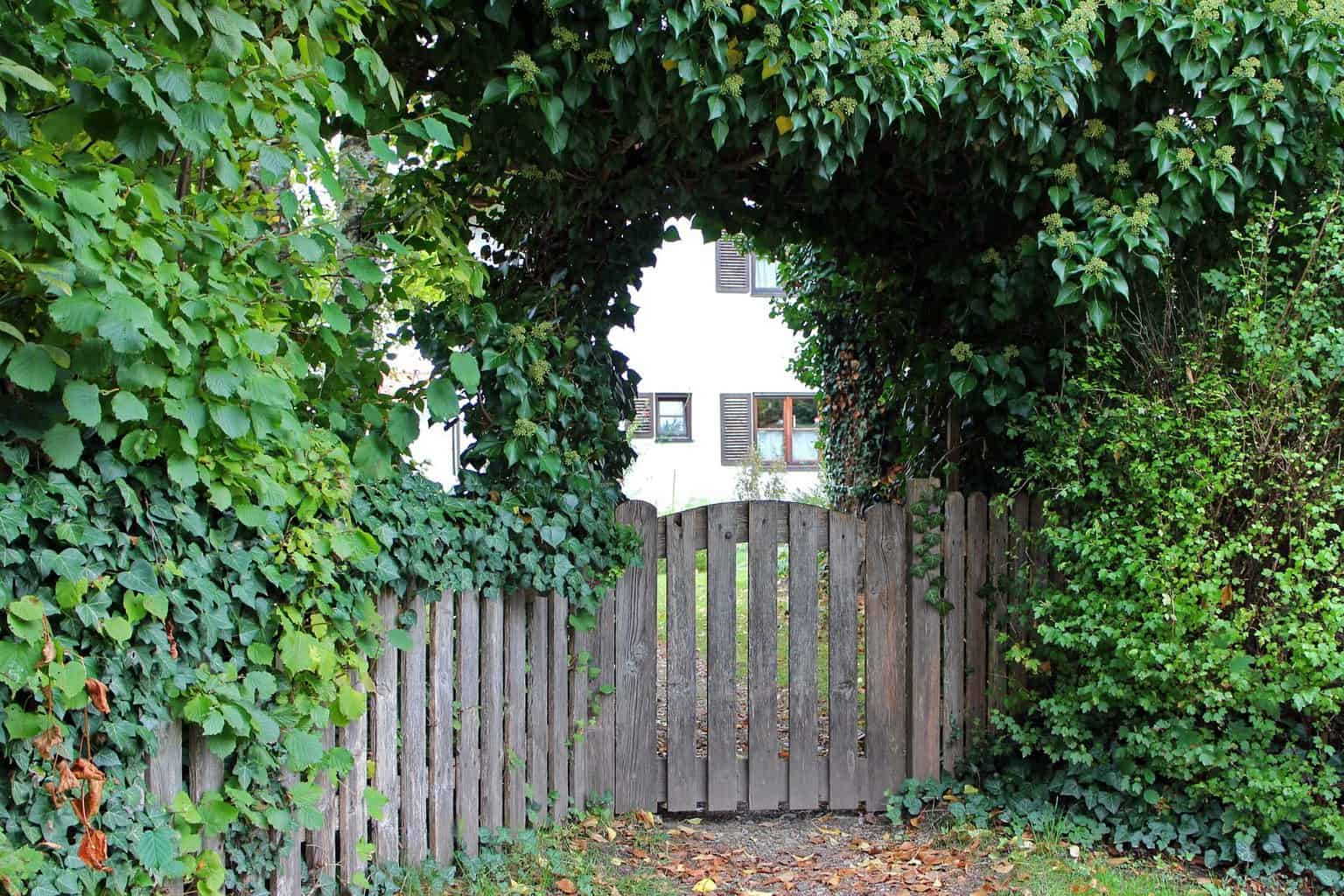 Gates and Fencing 38