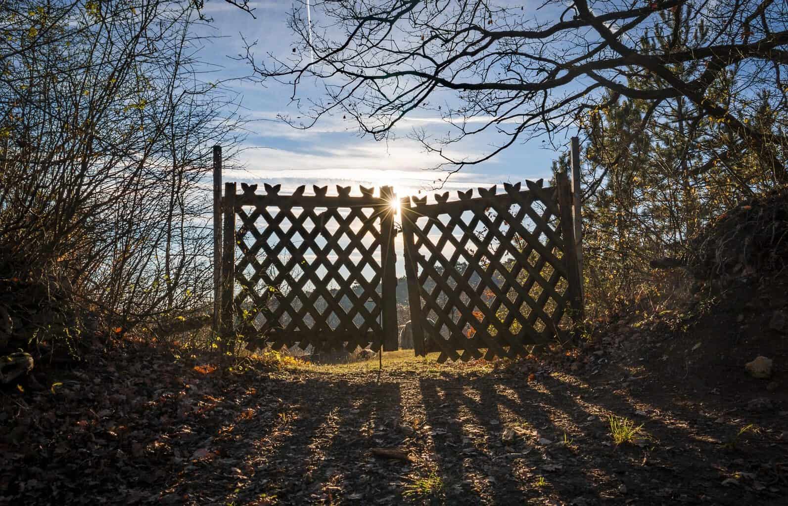 Gates and Fencing 40