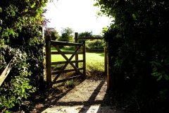 Gates and Fencing 21