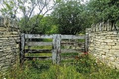 Gates and Fencing 24