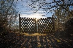 Gates and Fencing 40