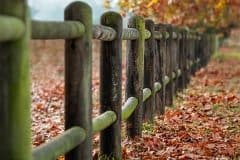 Gates and Fencing 54