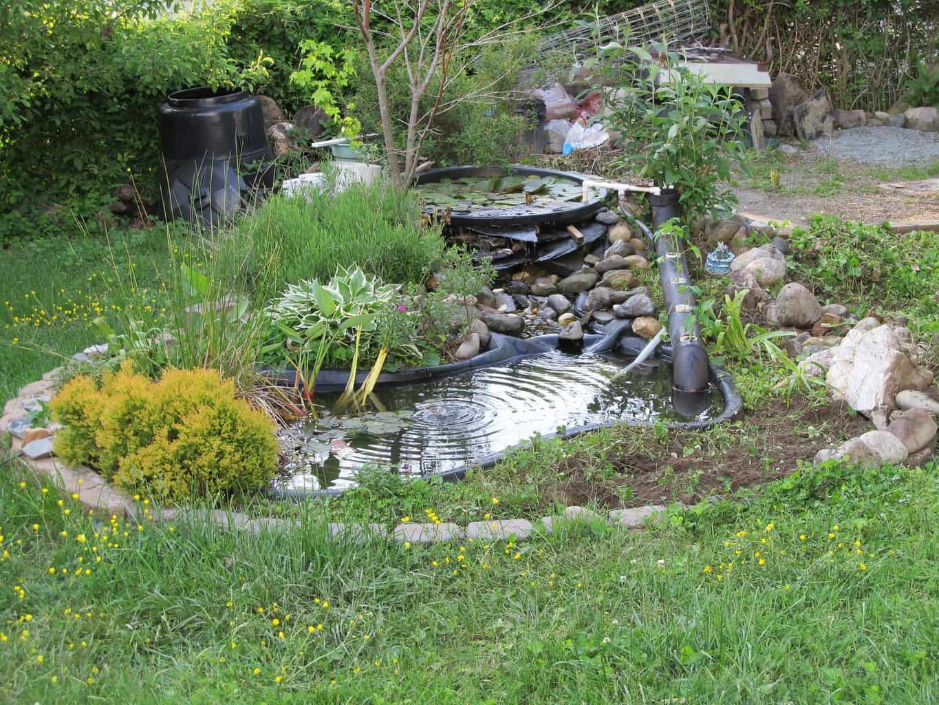 Small-Water-Garden