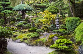 Japanese Garden Designs for Small Spaces