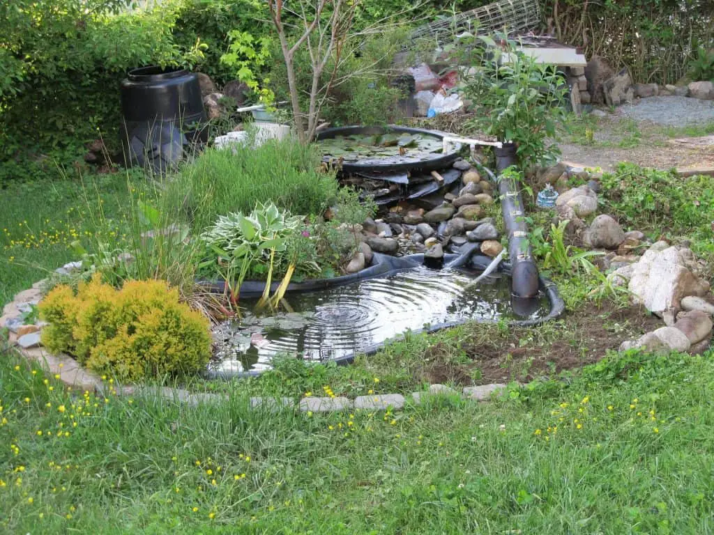 How to Create a Small Water Garden - Better Landscaping