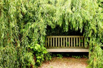 Japanese Garden Bench
