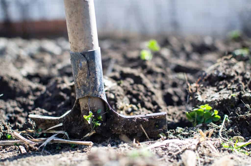 adding a pond to your backyard