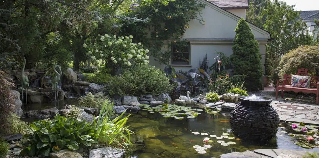 To Backyard Pond Ideas to Make Your Home Beautiful