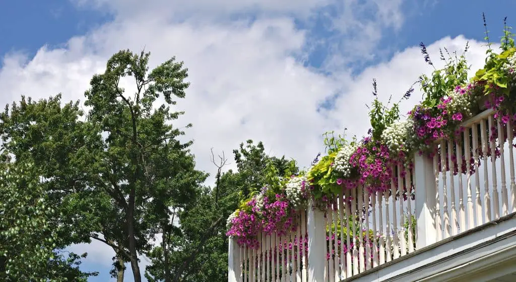 balcony garden ideas spice up your garden