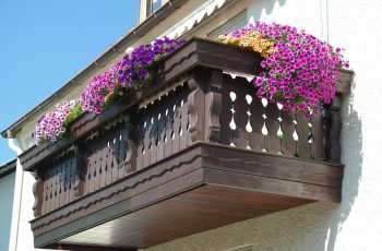 making your balcony garden beautiful