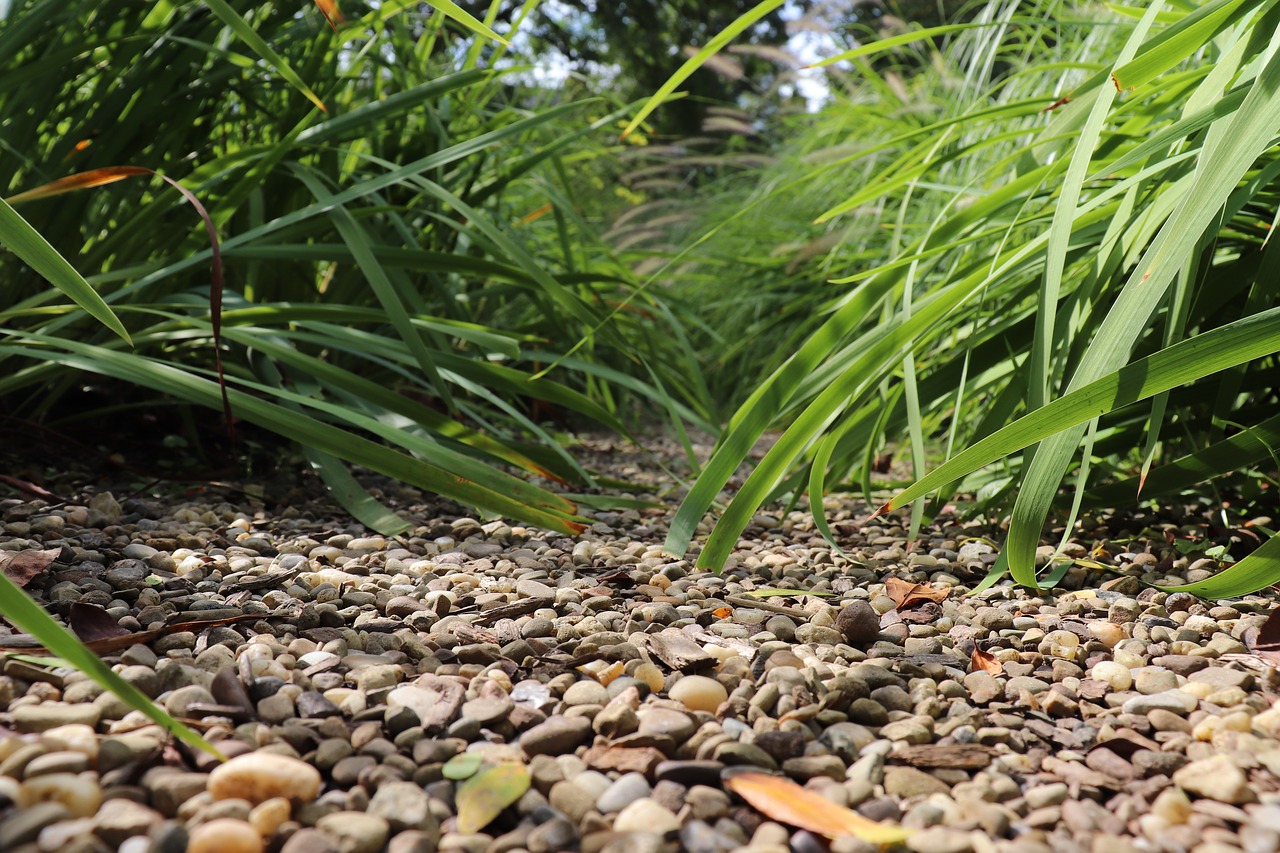 river rock landscaping paths