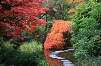 japanese garden principles