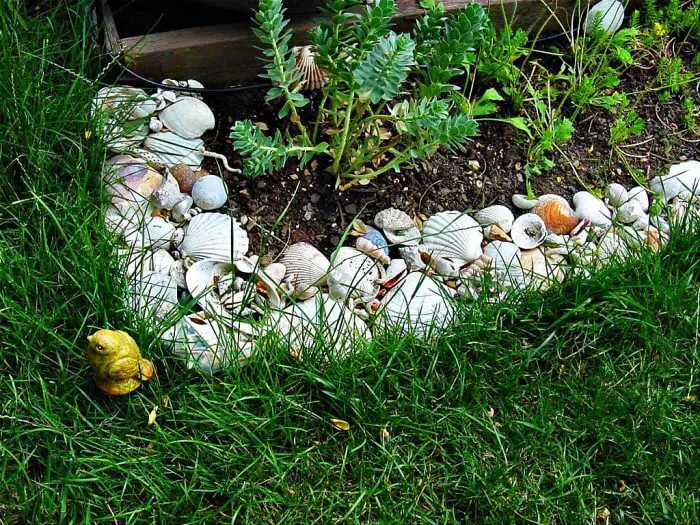 seashell modern garden edging