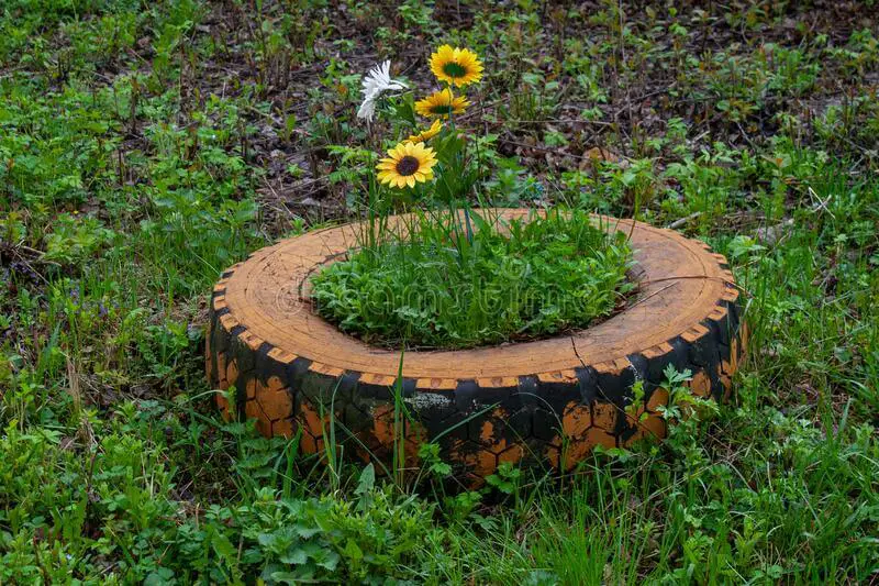 sunflower tire bed