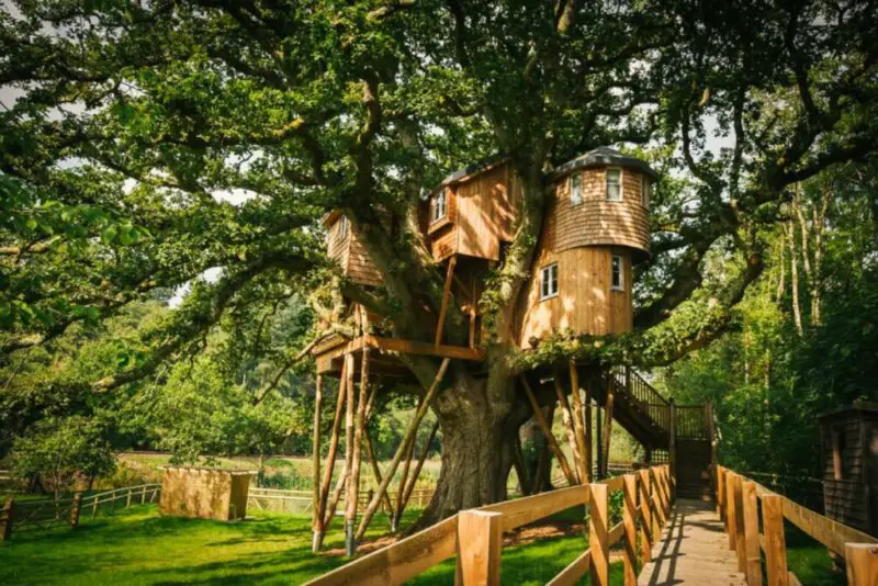 Multi-Level Treehouse