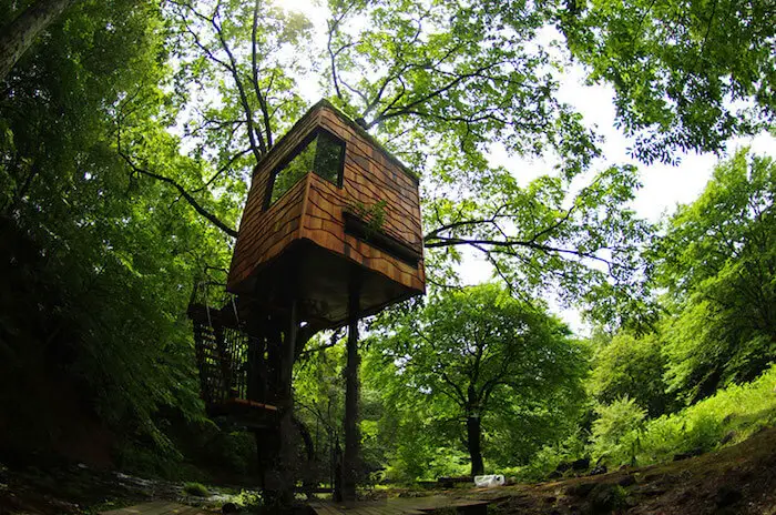 The Cube Treehouse