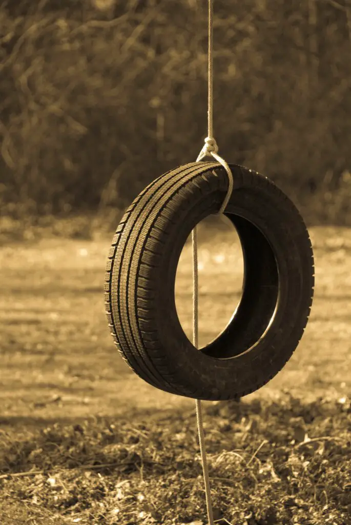 Tire swing