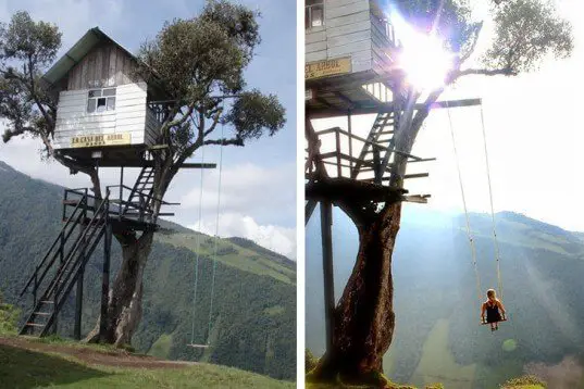 Tree Swing Tree House