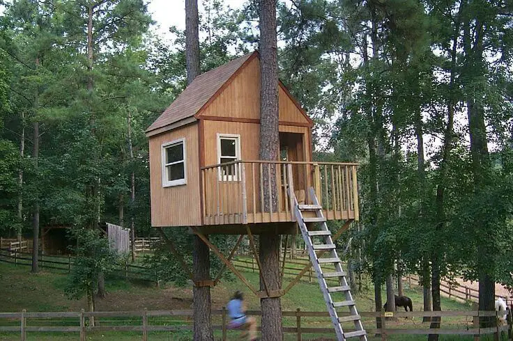 Two-Tree Treehouse