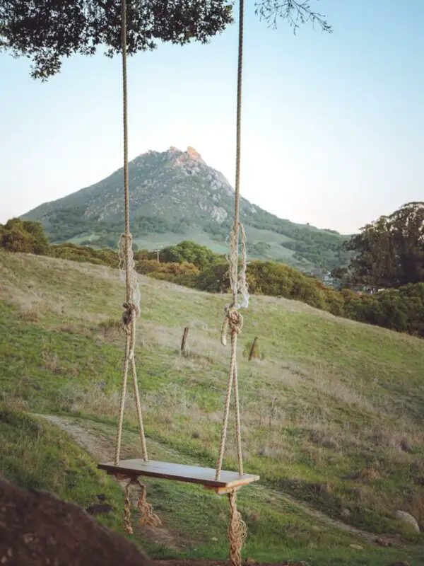 Wooden Rope Swing
