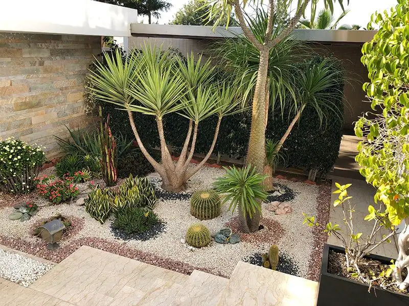 Xeriscape landscaping