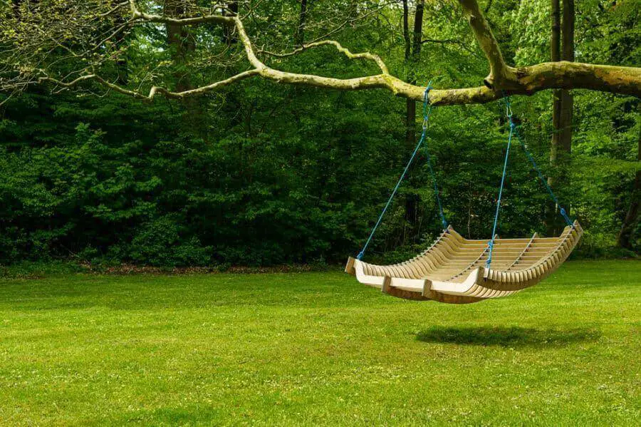 tree swing for adults