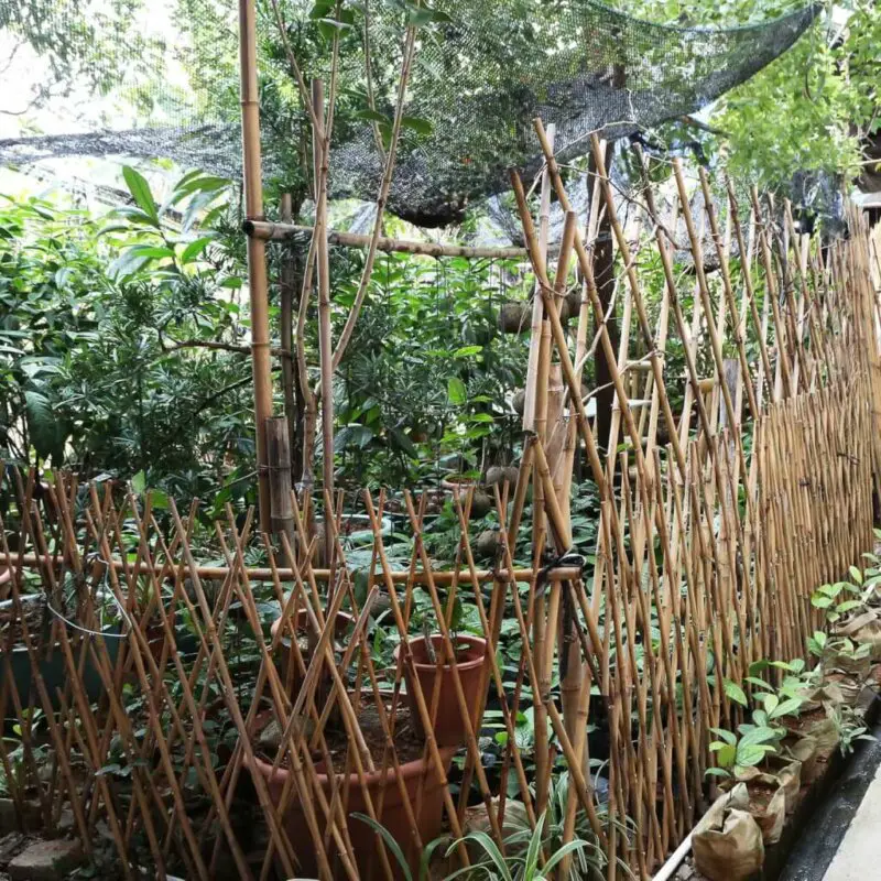 bamboo garden fence