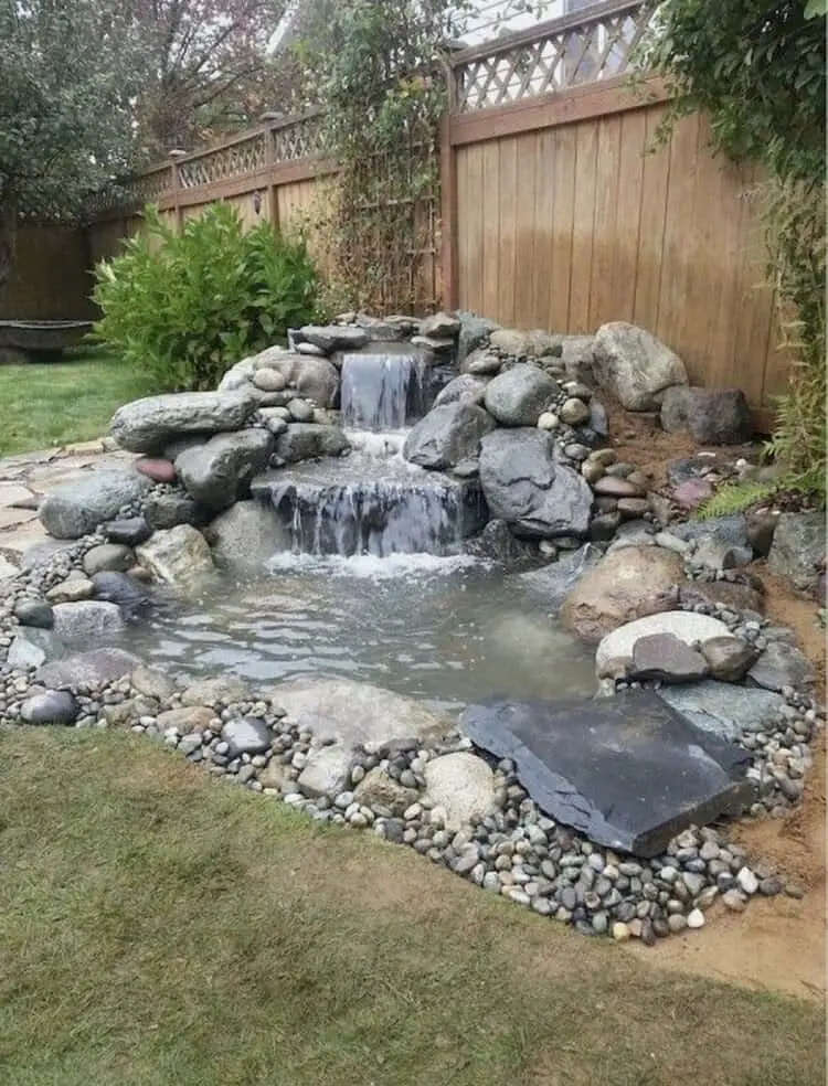 garden pond