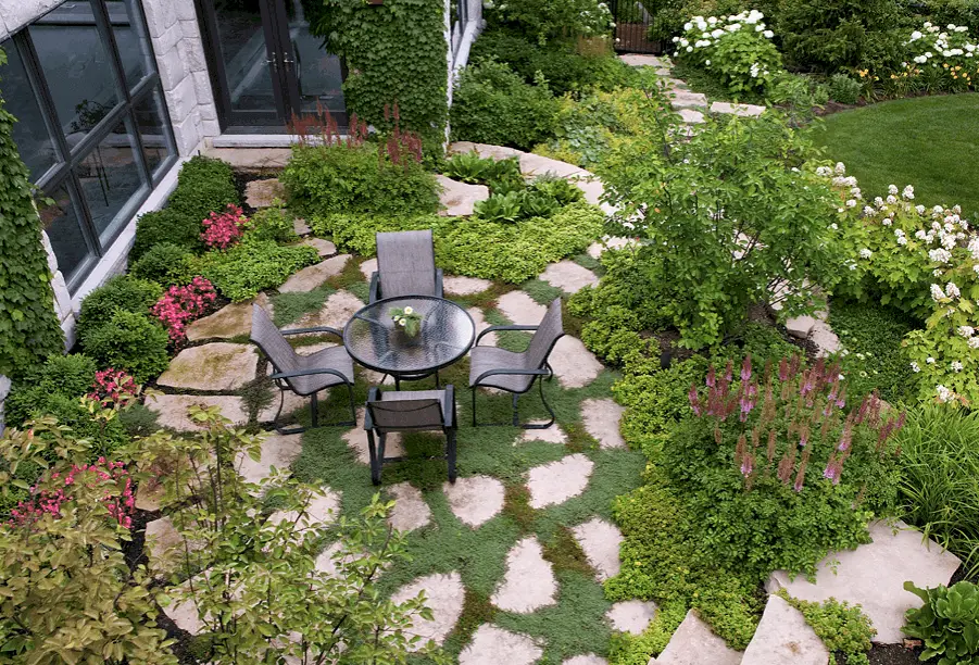 Plants Between Flagstones