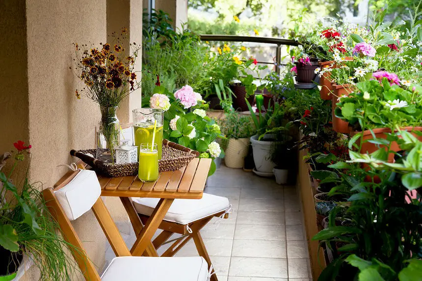 apartment patio plants