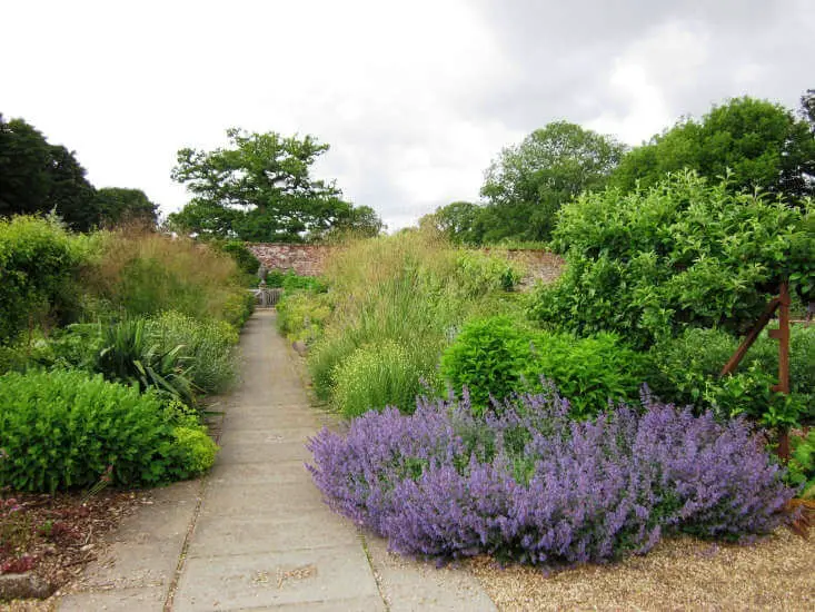 lavender landfilling